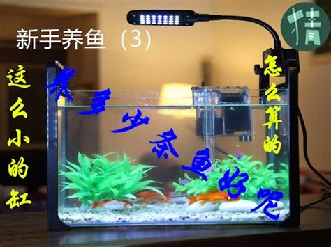 魚缸魚隻數量